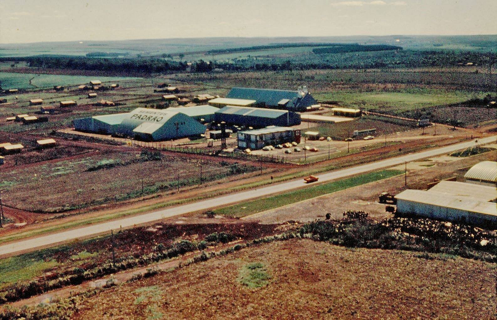 Agropecuária Padrão - 1977